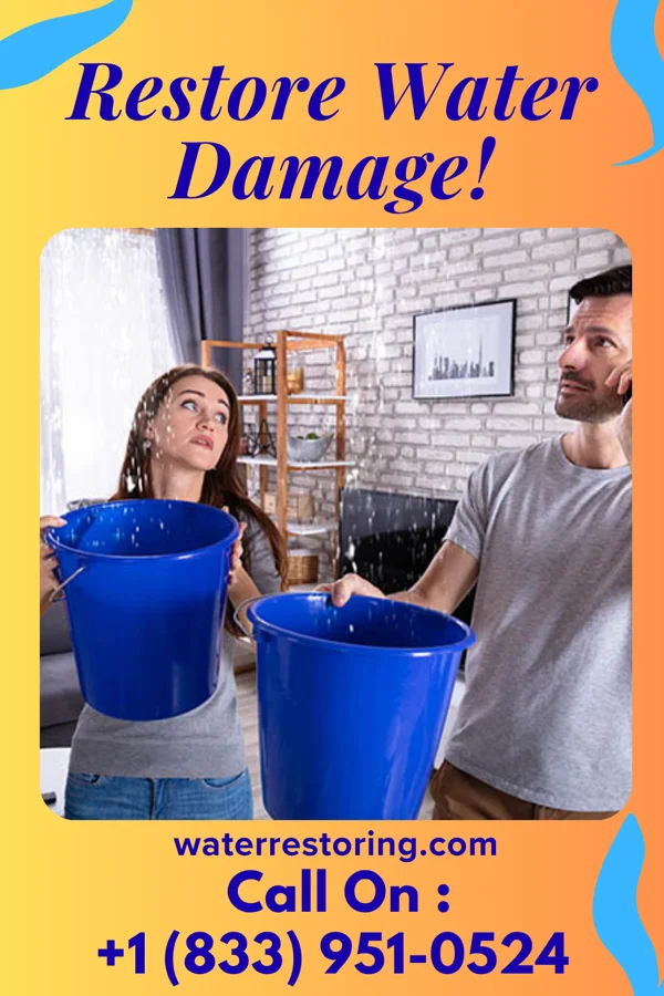 water restoration Peak Flood Damage Professionals Buffalo