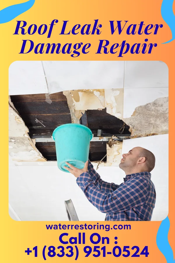 Roof Leak Water Damage Repair in Buffalo, KS