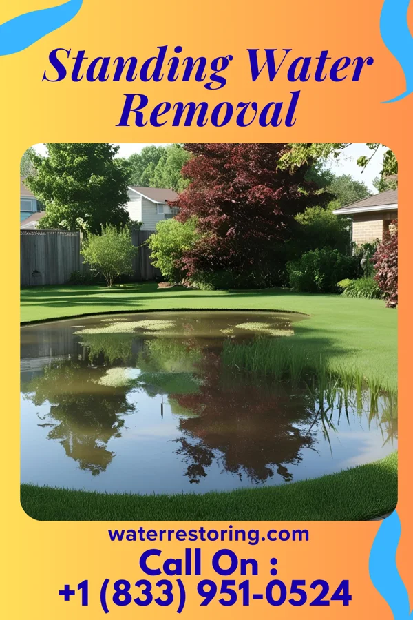 Standing Water Removal in Buffalo, KS